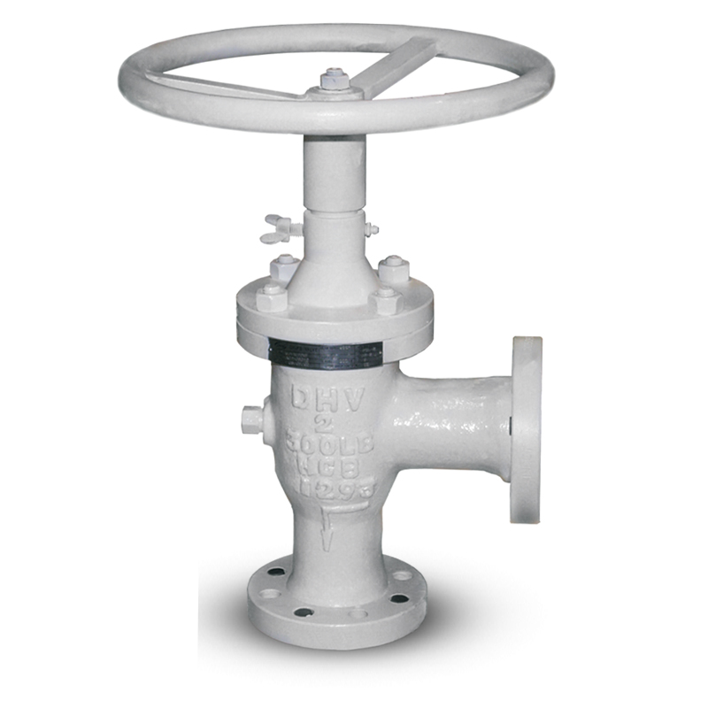 Plug and Cage Choke Valve