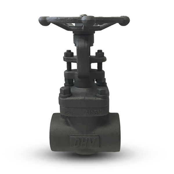 Forged Steel Gate Valve